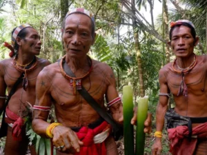 Uggla.id - Ketika Sikerei dari Siberut Meresmikan Tanaman Obat di Sipora