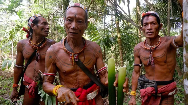 Uggla.id - Ketika Sikerei dari Siberut Meresmikan Tanaman Obat di Sipora