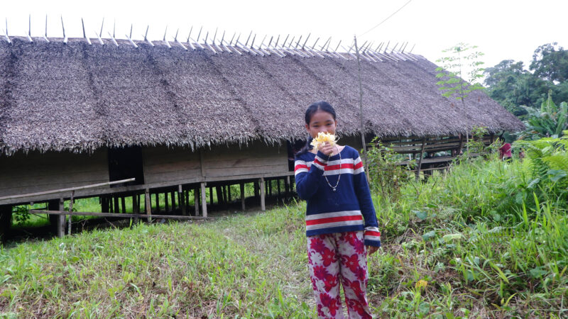 Uma Sabeu Siberut