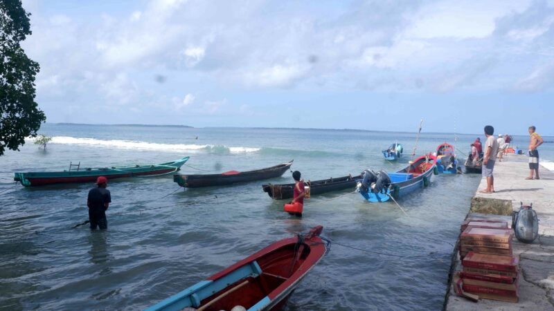 Pagai