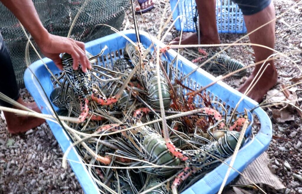 Melawan Gempuran Kapal Penjarah 11 Lampiran Gambar