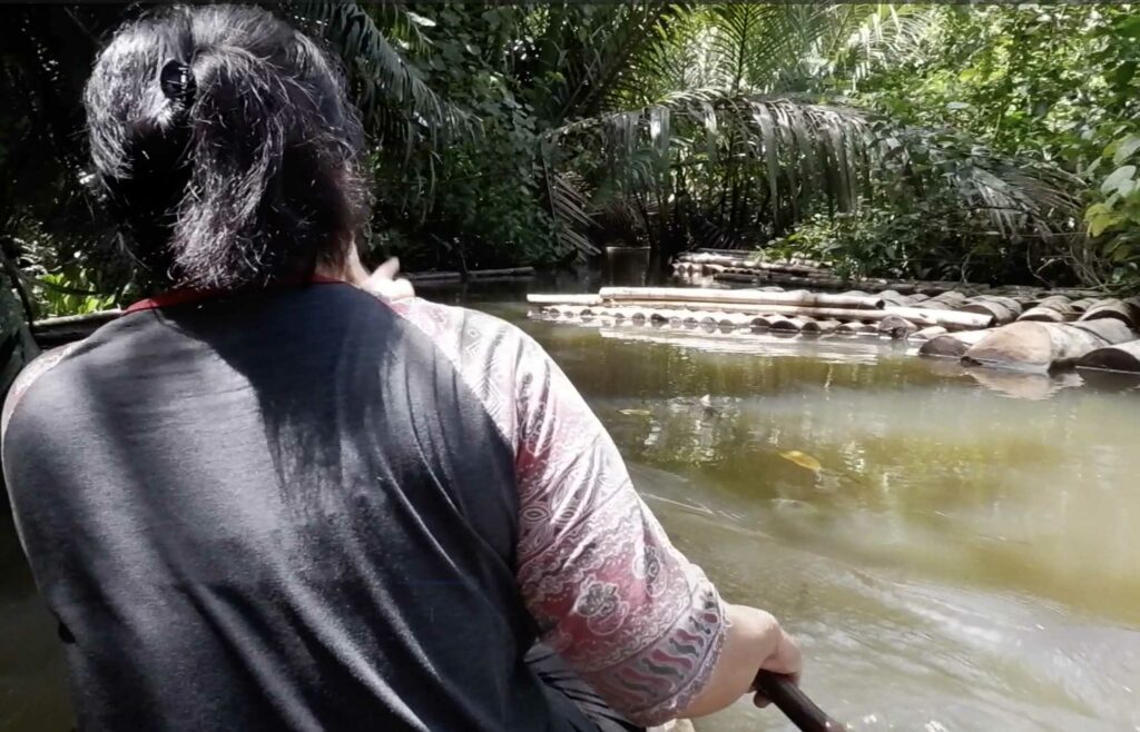 Terancamnya Budi Daya Toek Para Perempuan di Sipora, Mentawai 2 Lampiran Gambar