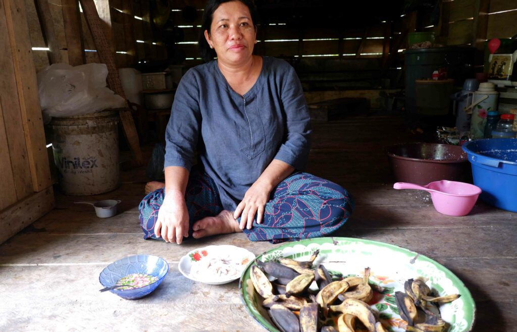 Terancamnya Budi Daya Toek Para Perempuan di Sipora, Mentawai 8 Lampiran Gambar