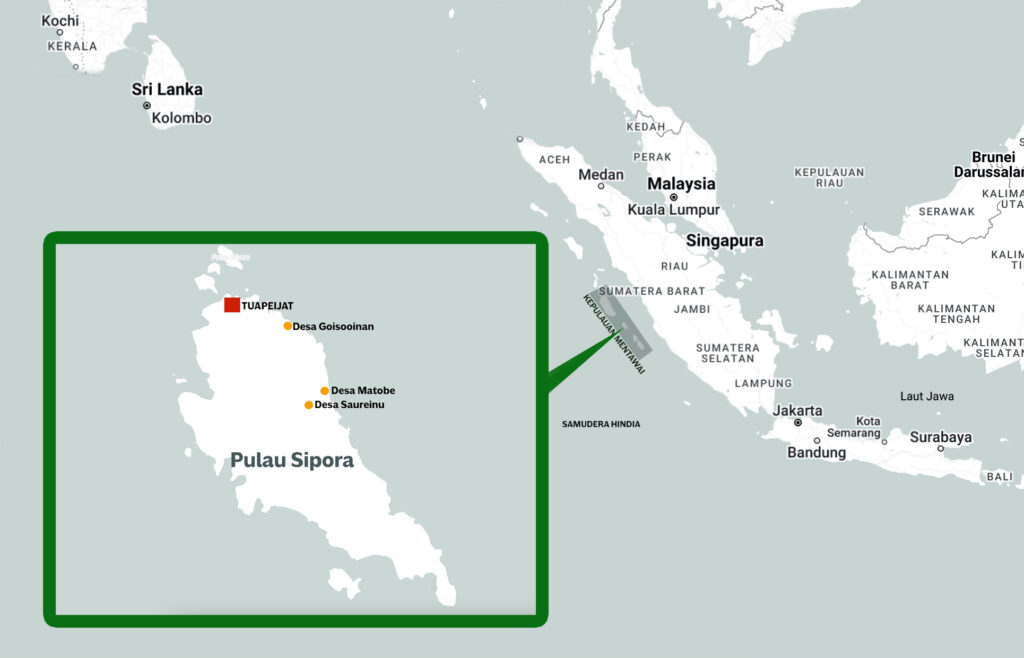Terancamnya Budi Daya Toek Para Perempuan di Sipora, Mentawai 11 Lampiran Gambar