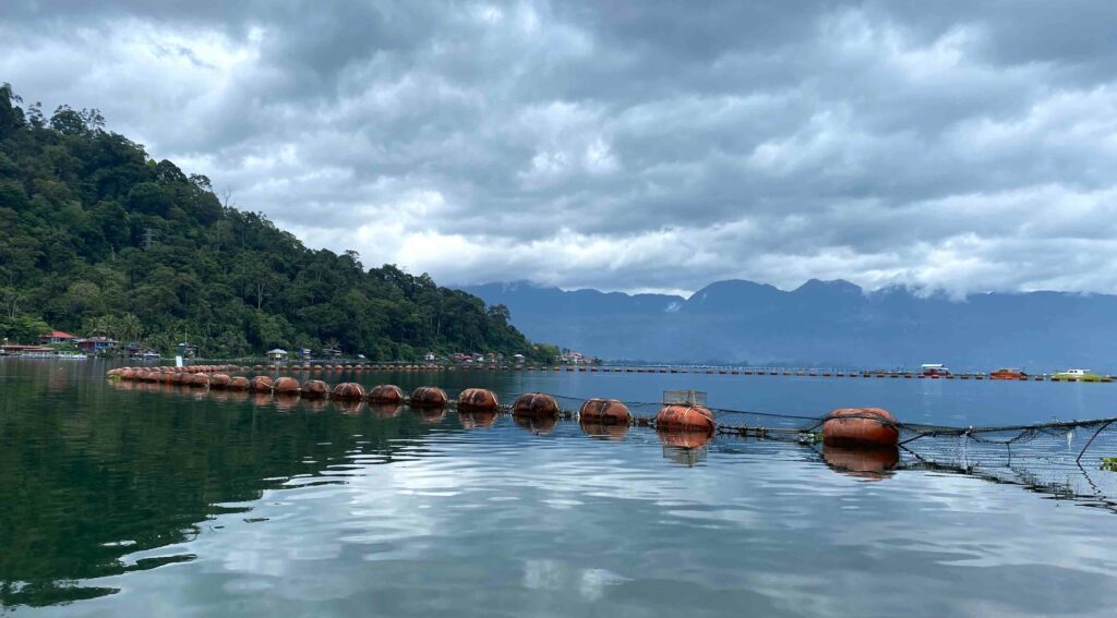 Kini Danau Maninjau Mengalami Krisis Lingkungan 6 Lampiran Gambar