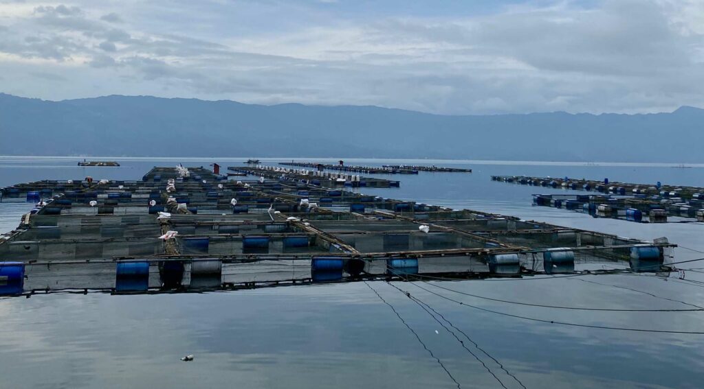 Kini Danau Maninjau Mengalami Krisis Lingkungan 8 Lampiran Gambar