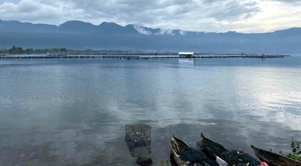 Kini Danau Maninjau Mengalami Krisis Lingkungan 10 Lampiran Gambar