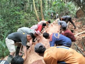 Siberut