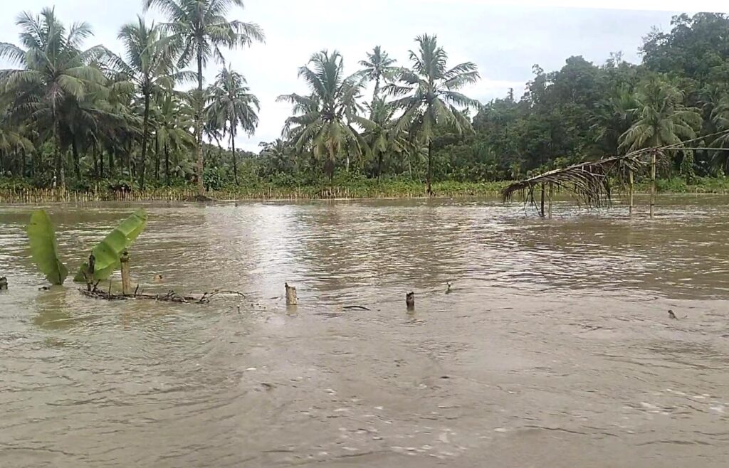 Lampiran Gambar