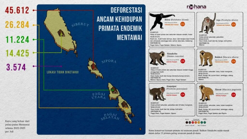 Primata Endemik Mentawai di Ujung Senapan dan Tergerusnya Habitat 7 Lampiran Gambar
