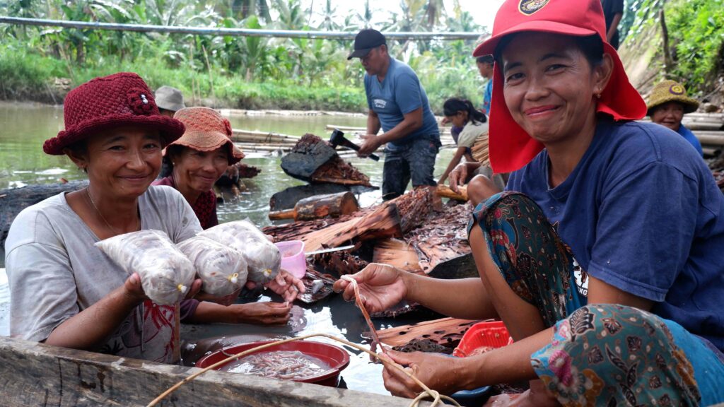 Menyelamatkan Pulau Sipora yang Kaya 17 Sipora