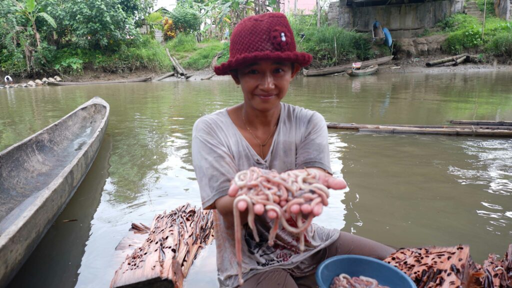 Menyelamatkan Pulau Sipora yang Kaya 12 Lampiran Gambar