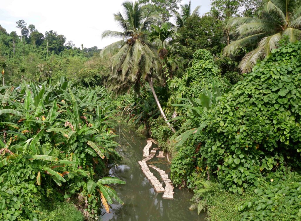 Menyelamatkan Pulau Sipora yang Kaya 13 Lampiran Gambar