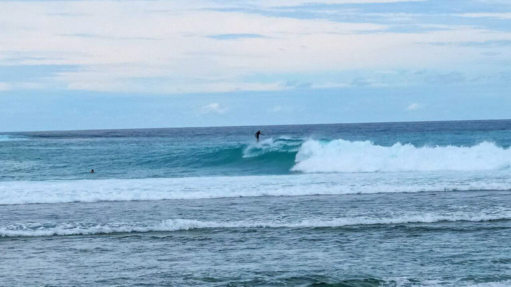 Menyelamatkan Pulau Sipora yang Kaya 16 Lampiran Gambar