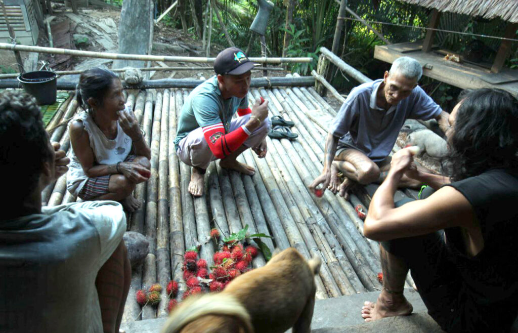 Babi-Babi yang Dimantra di Hutan Siberut 8 Lampiran Gambar