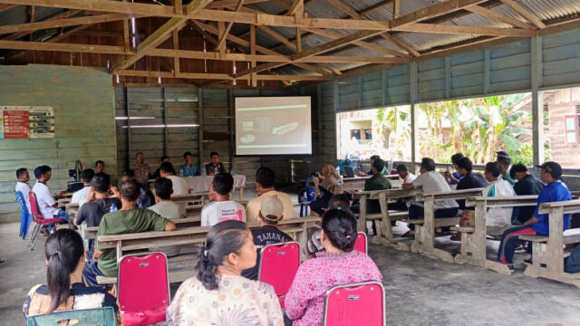 Bojakan Taman Nasional