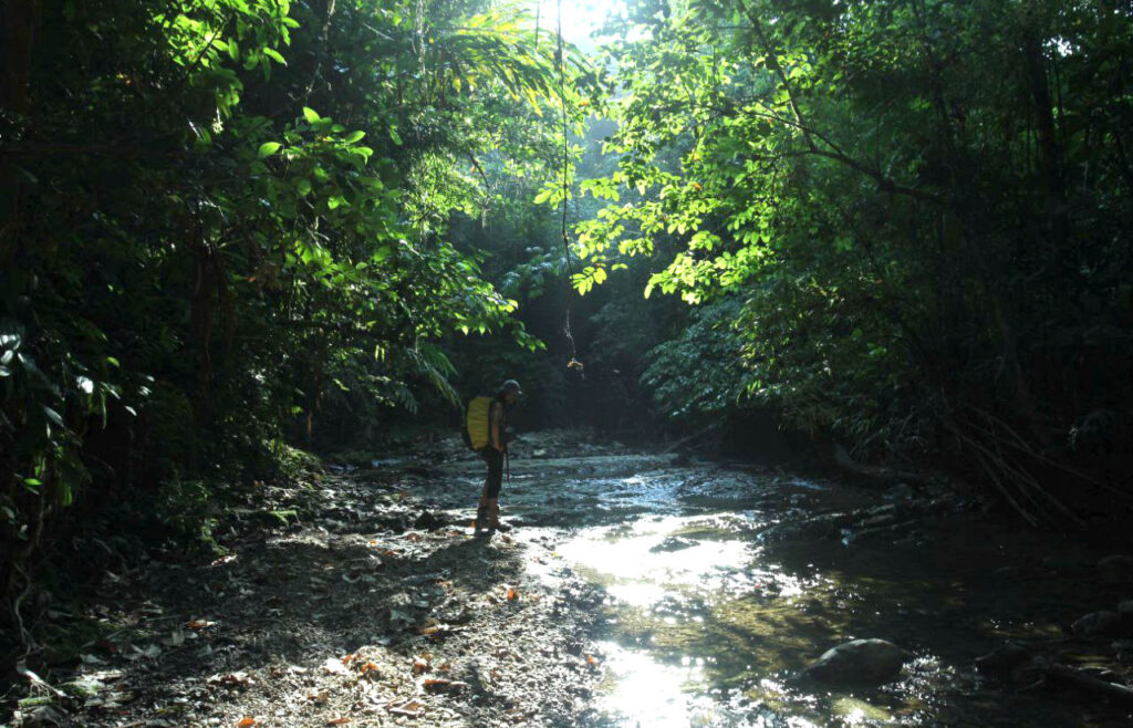 Babi-Babi yang Dimantra di Hutan Siberut 12 Lampiran Gambar