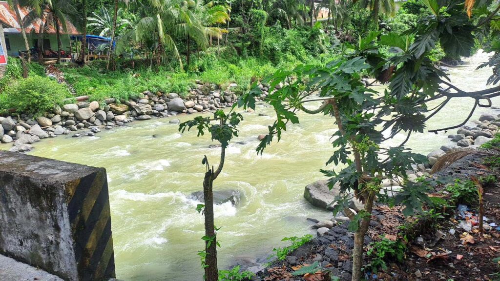 Batang Arau: Dari Hulu yang Jernih hingga Hilir yang Menghitam 5 Lampiran Gambar