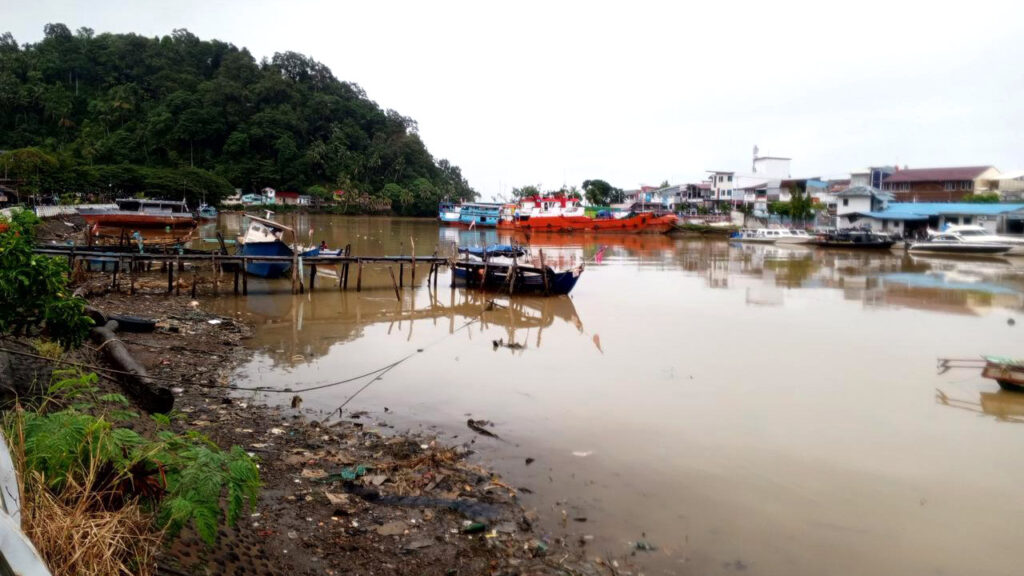 Batang Arau: Dari Hulu yang Jernih hingga Hilir yang Menghitam 6 Lampiran Gambar