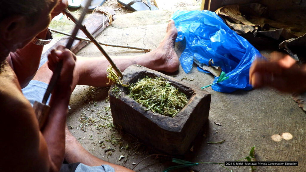 Racun Panah Leluhur Mentawai di Ujung Peluru Modern 6 Lampiran Gambar