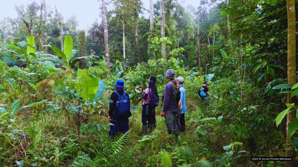 Racun Panah Leluhur Mentawai di Ujung Peluru Modern 9 Lampiran Gambar
