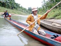 Bojakan