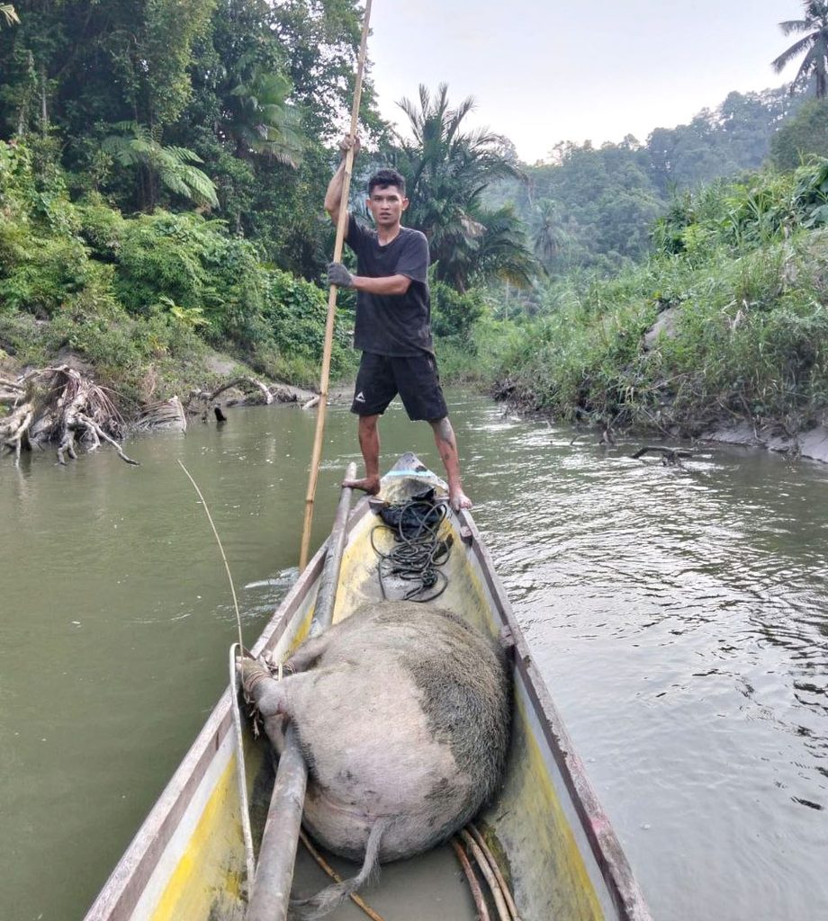 Lampiran Gambar